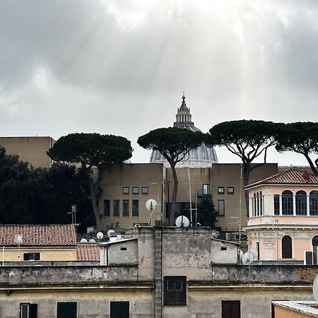 Museum Day Vatican Rzym Zewnętrze zdjęcie